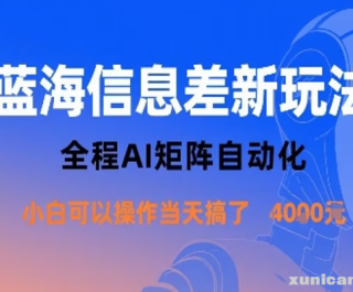 蓝海信息差新玩法，全程AI矩阵自动化小白可以操作当天搞了1K+